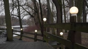 Прогулка по Елагину