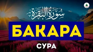 Сура Бакара. Коран