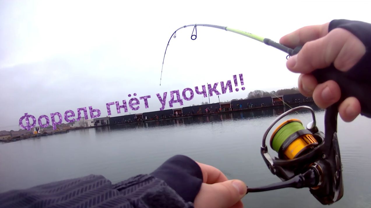 ФОРЕЛЬ НЕ ДАЁТ ПЕРЕДОХНУТЬ!!! РЫБАЛКА В РК ЯЗЬ.