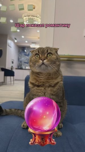 САША И ПИТЕР?!