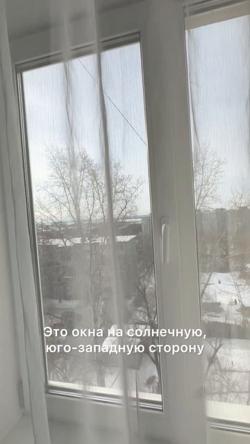 video-output-0E2B553D-6548-492F-8596-54283EE48A86-1