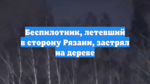 Беспилотник, летевший в сторону Рязани, застрял на дереве