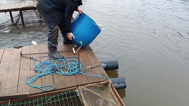 Forest Fishing 06.12.25