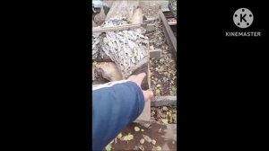 ЛЕНТОЧНАЯ ПИЛОРАМА ПАТРИОТ 1000