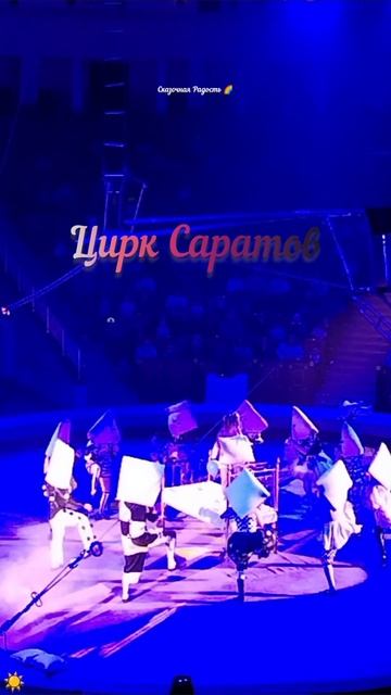 #танецподушек #необычно #цирк #саратов #забавно #событиедня #15ноября2025год смотреть онлайн