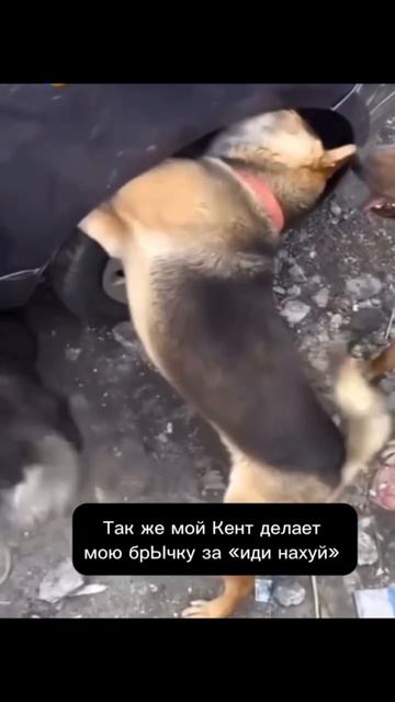 BMW E34 #москва #саратов #bmw #e34 #bmwe34 смотреть онлайн