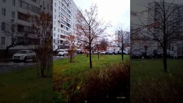 Moscow, Altufyevsky district 18.11.2025