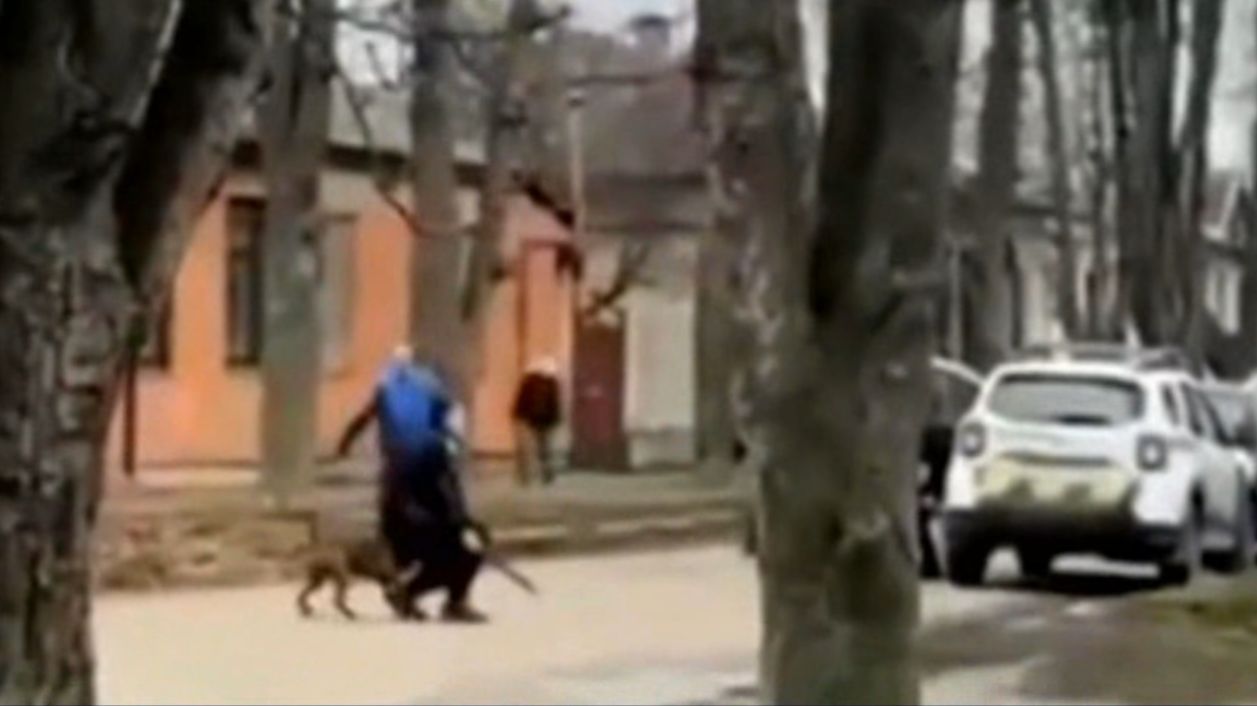 В Полтаве питбуль защитил украинца от двух ПОЛИЦАЕВ смотреть онлайн