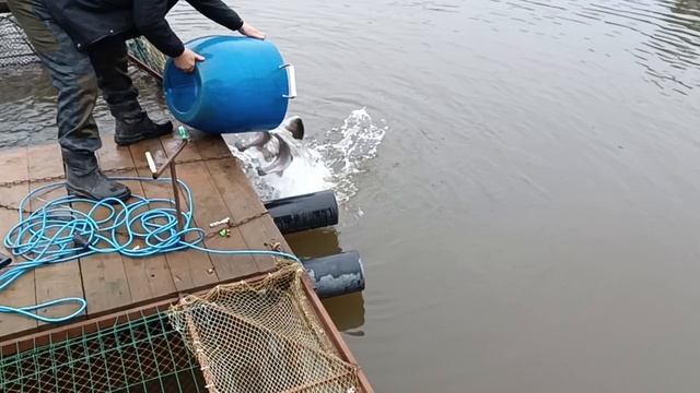 Forest Fishing 06.12.25