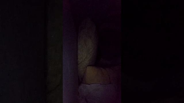 ночной стрим смотреть онлайн