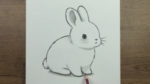 Как нарисовать Очень простой рисунок Кролика карандашом шаг за шагом
