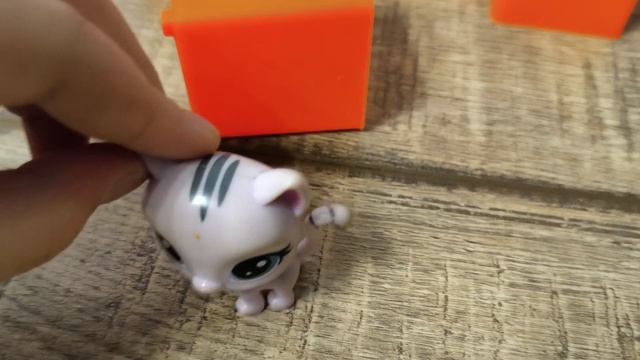 lps: прятки в коробках:первый выпуск: снимать ещё?