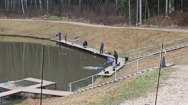 Forest Fishing 06.12.25