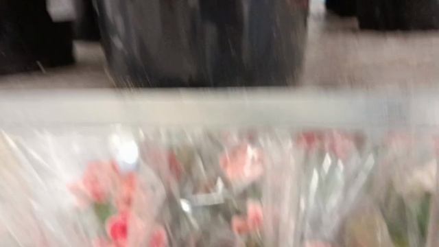 #красота цветов в оби#брянск сколько цветов смотреть онлайн