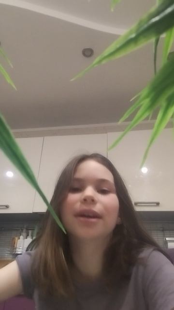 1000020642.mp4 смотреть онлайн