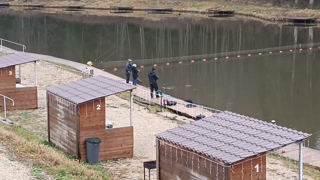 Forest Fishing 06.12.25