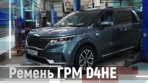 Ремень ГРМ D4HE