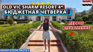 Египет. БЮДЖЕТНАЯ ЧЕТВЁРКА В ШАРМЕ! Old Vic Sharm Resort 4* Заселение, номер и ужин - часть 1