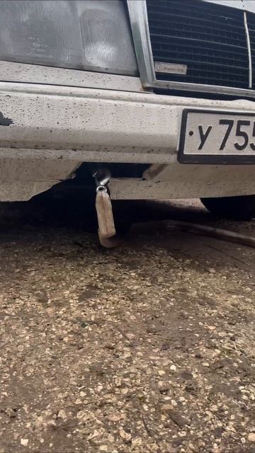 что будет с мерседесом если его буксировать тросом 🤣 смотреть онлайн