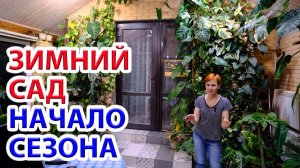 Зимний сад - начало сезона