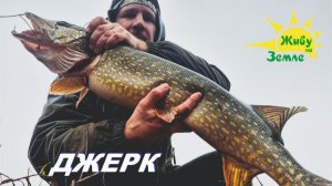 Эти щуки съедают Джерк целиком! Рыбалка на Джерк с берега