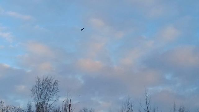 06-12-2025 - Хабаровск