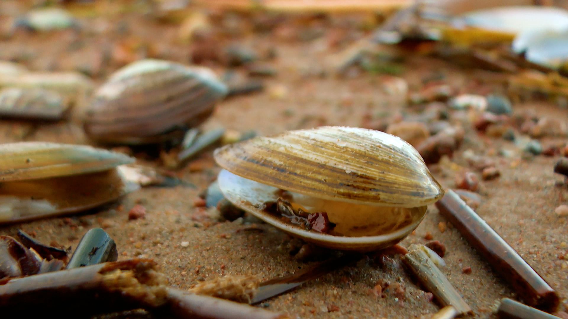 Дикие выходные с Павлом Глазковым. 6 декабря