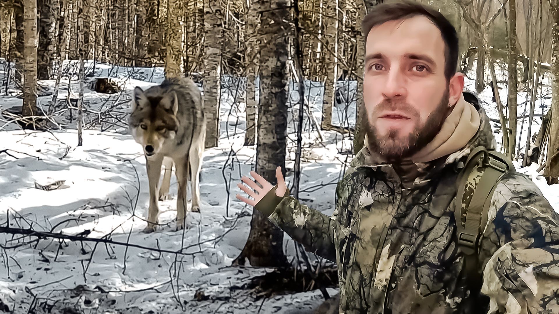 Животные в мире людей: зачем мы вмешиваемся в жизнь дикой природы | Все как у людей смотреть онлайн