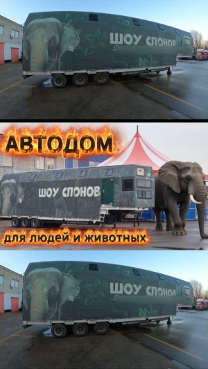 #Автодом для людей и животных. #цирк #слон #прицеп #полуприцеп
