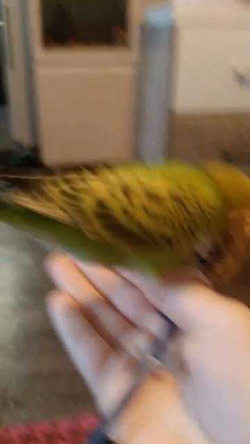пощр