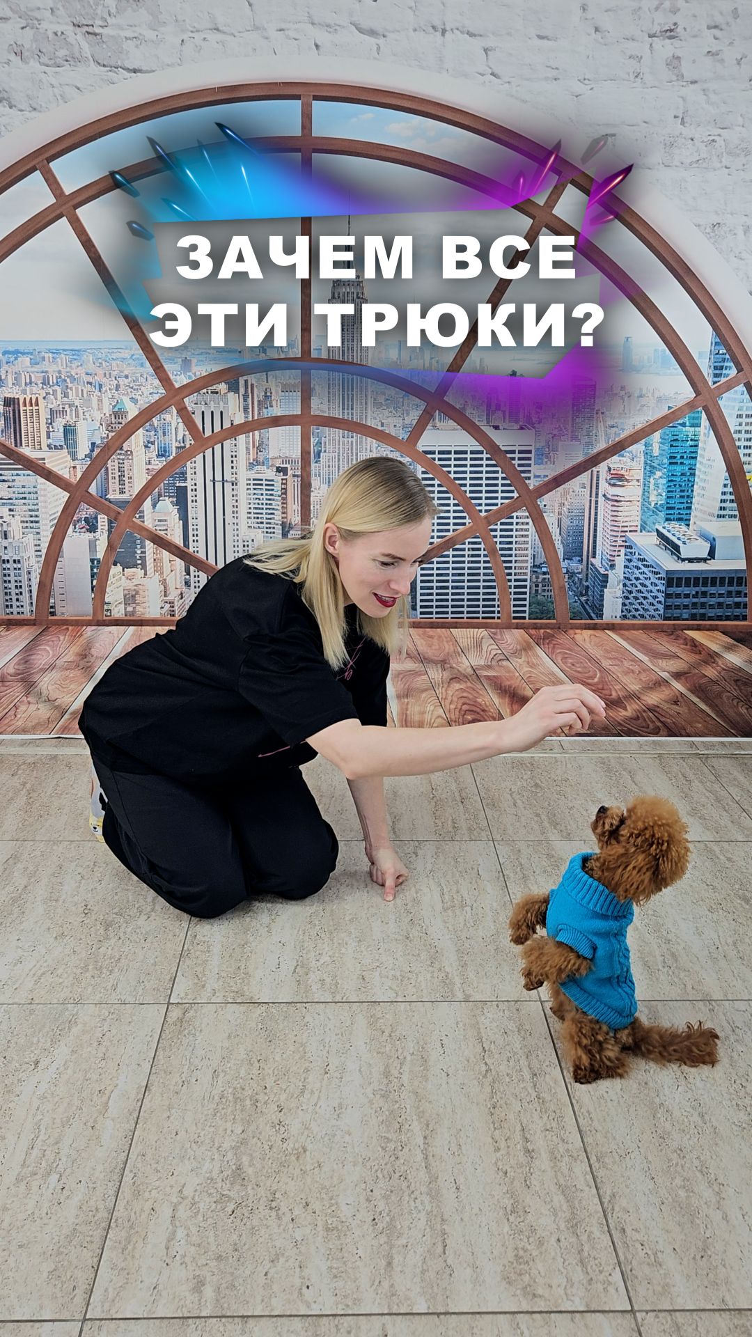 Займи его делом! #животные смотреть онлайн