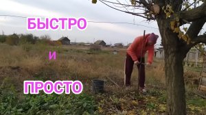 Установили забор и собрали последний урожай. 30 серия.