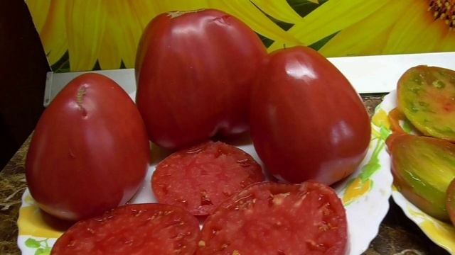 Только для моих заказчиков. Отчет о рассылке семян томатов на 5 декабря 2025 года. смотреть онлайн