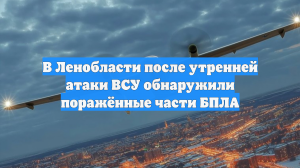 В Ленобласти после утренней атаки ВСУ обнаружили поражённые части БПЛА