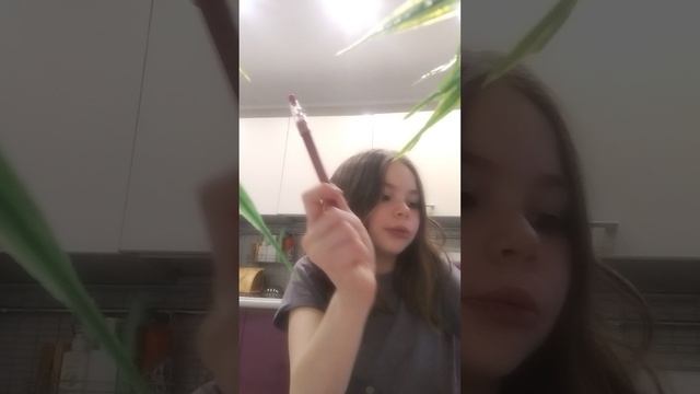 1000020625.mp4 смотреть онлайн