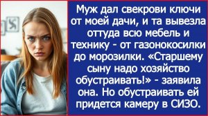 Свекровь вывезла с моей дачи всю мебель и технику | ИСТОРИИ ИЗ ЖИЗНИ | АУДИО РАССКАЗЫ