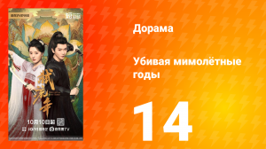 Убивая мимолётные годы 14 серия