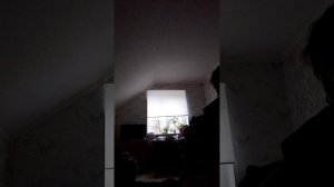 Сборы гулять