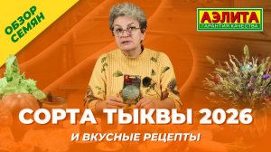 СОРТА ТЫКВЫ на 2026 год! Обзор семян и рецепты вкусных салатов!