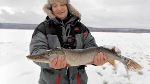 ЗАТОПЛЕННОЕ ОЗЕРО КИШИТ РЫБОЙ! ЭТО УЖЕ ПРОМЫСЕЛ КАКОЙ-ТО! ГОЛОДНЫЕ ЩУКИ И ОКУНИ! Рыбалка 2022