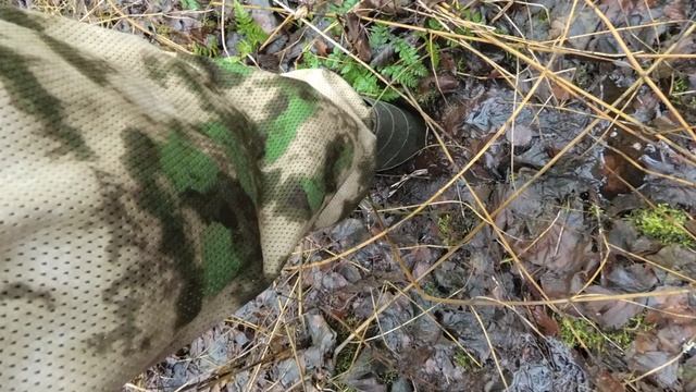 В гостях у бобра