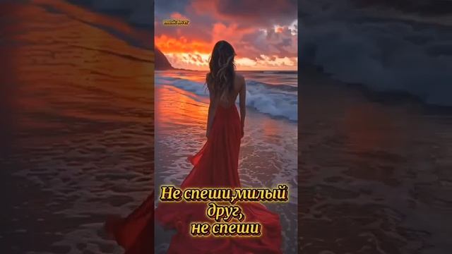 Не спеши милый друг, не спеши... смотреть онлайн