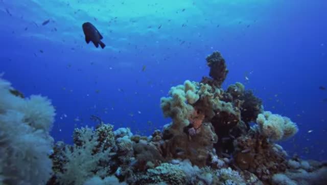 🌏 Дискавэри: Райские места Земли! 4K Dolby Vision HDR смотреть онлайн