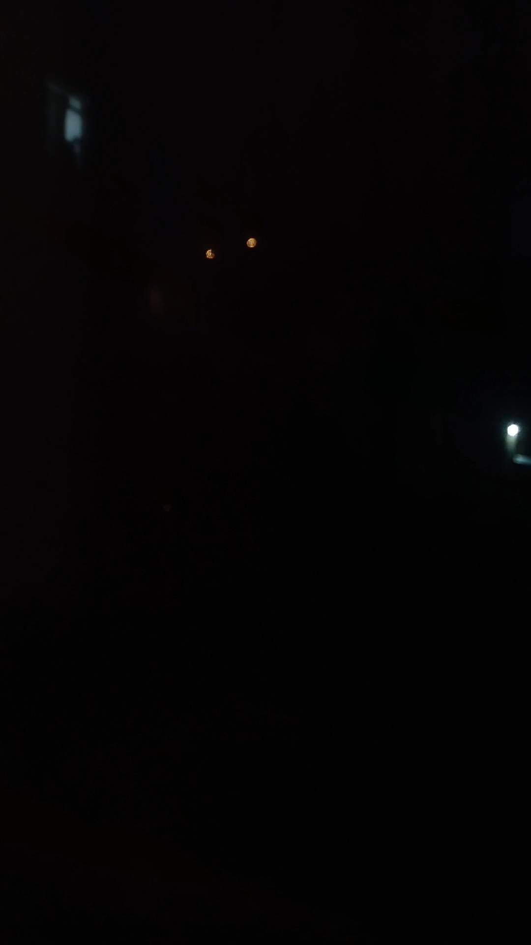 вид из окна смотреть онлайн