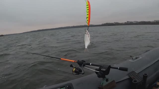 Осень 2025! (19) - Зима не торопится (2)!