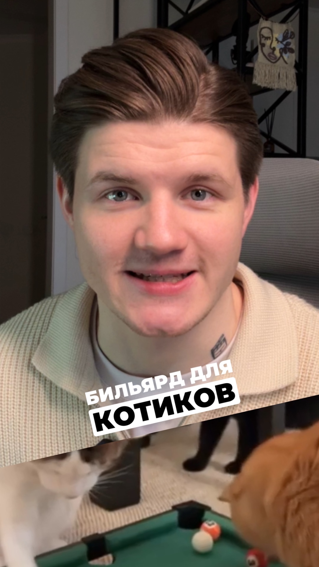 Бильярд для котов?? смотреть онлайн