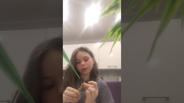 1000020634.mp4 смотреть онлайн