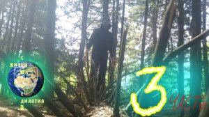 СНЮСОЕДЫ: ДИЛОГИЯ ЖИЗНИ | документальный фильм | третья часть