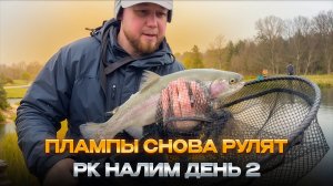 #35 ЛОВЛЯ ФОРЕЛИ НА РЕЗИНУ. ФЕСТИВАЛЬ В РК НАЛИМ. ОРАНЖЕВЫЙ ПЛАМП РУЛИТ