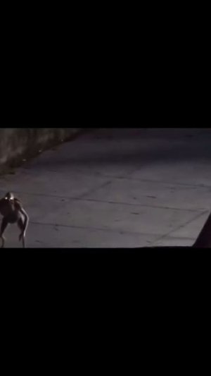 что ты такое